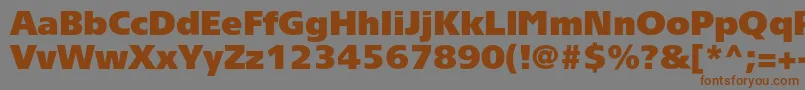 フォントTornadoultrablackc – 茶色の文字が灰色の背景にあります。