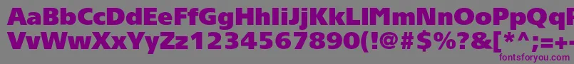 Tornadoultrablackc Font – Purple Fonts on Gray Background