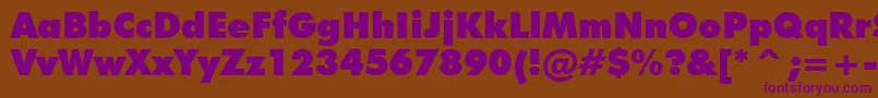 Tt0148m Font – Purple Fonts on Brown Background
