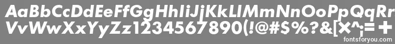 Czcionka C+Boldital – białe czcionki na szarym tle