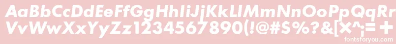 C+Boldital Font – White Fonts on Pink Background
