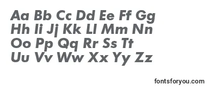 Review of the C+Boldital Font