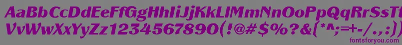 Шрифт PanacheBlackit – фиолетовые шрифты на сером фоне