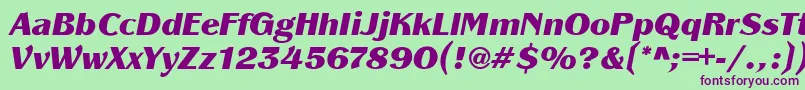 PanacheBlackit Font – Purple Fonts on Green Background