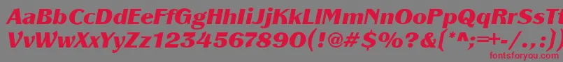 PanacheBlackit Font – Red Fonts on Gray Background