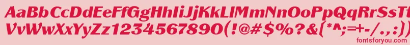 PanacheBlackit Font – Red Fonts on Pink Background
