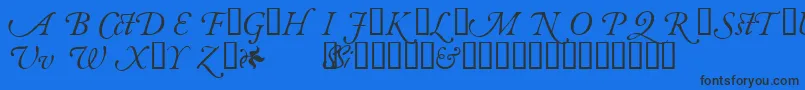 Шрифт GaramondalternatesskItalic – чёрные шрифты на синем фоне