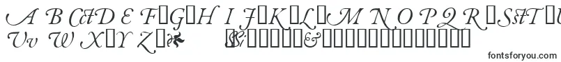 Шрифт GaramondalternatesskItalic – шрифты для ников