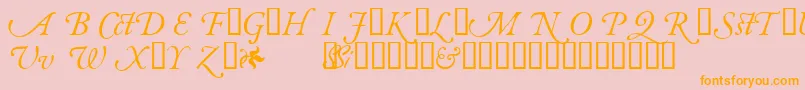 GaramondalternatesskItalic Font – Orange Fonts on Pink Background