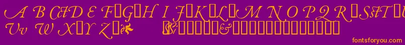 More about GaramondalternatesskItalic Font GaramondalternatesskItalic Font – Orange Fonts on Purple Background