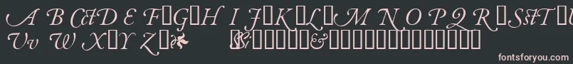 GaramondalternatesskItalic Font – Pink Fonts on Black Background