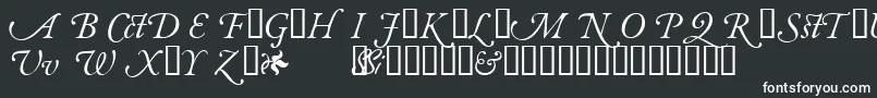 GaramondalternatesskItalic-fontti – valkoiset fontit mustalla taustalla