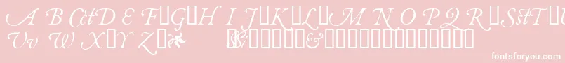 GaramondalternatesskItalic Font – White Fonts on Pink Background