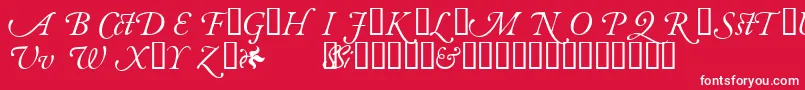 GaramondalternatesskItalic Font – White Fonts on Red Background