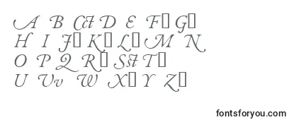 Review of the GaramondalternatesskItalic Font