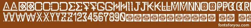 DzTypographyZilapdemo Font – White Fonts on Brown Background