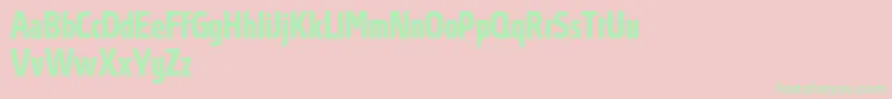 Police AbsolutProBoldcondensed – polices vertes sur fond rose