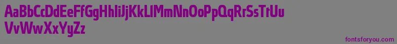 Weitere Informationen zur AbsolutProBoldcondensed-Schriftart AbsolutProBoldcondensed-Schriftart – Violette Schriften auf grauem Hintergrund