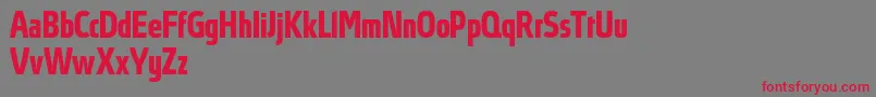 AbsolutProBoldcondensed Font – Red Fonts on Gray Background