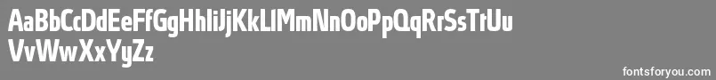 AbsolutProBoldcondensed Font – White Fonts on Gray Background