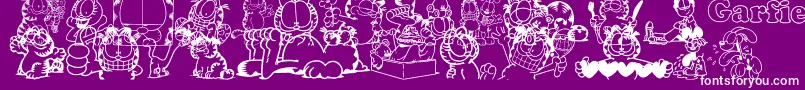 Garfield-Schriftart – Weiße Schriften auf violettem Hintergrund