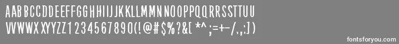 KubeVertiko Font – White Fonts on Gray Background