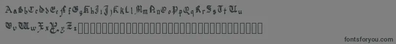 フォントQuadrataPreciosa – 黒い文字の灰色の背景