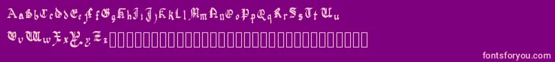 QuadrataPreciosa Font – Pink Fonts on Purple Background