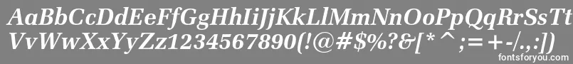 フォントZapfelliptical711cbtBolditalic – 灰色の背景に白い文字