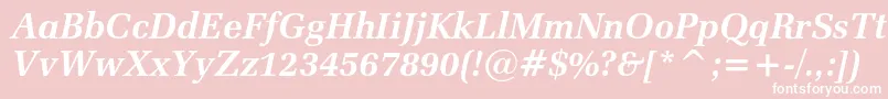 Zapfelliptical711cbtBolditalic Font – White Fonts on Pink Background