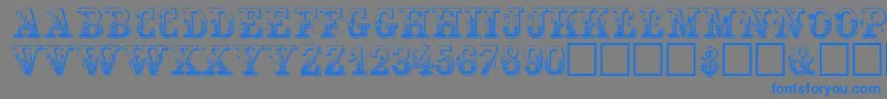 FestivacapssskRegular Font – Blue Fonts on Gray Background