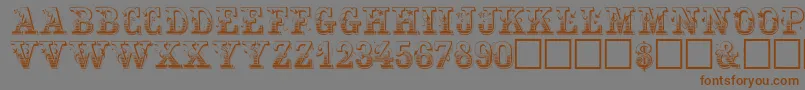 FestivacapssskRegular Font – Brown Fonts on Gray Background