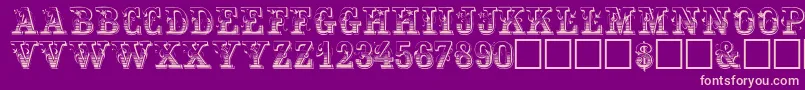 FestivacapssskRegular Font – Pink Fonts on Purple Background