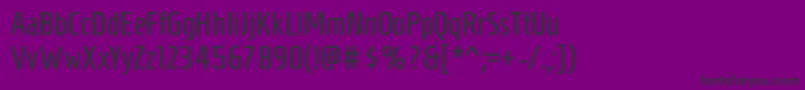 HomenajeRegular Font – Black Fonts on Purple Background