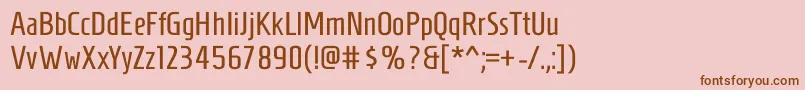 HomenajeRegular Font – Brown Fonts on Pink Background