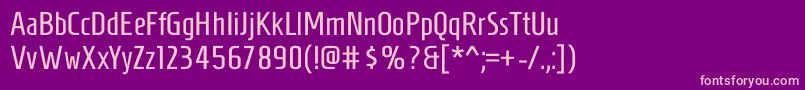 HomenajeRegular Font – Pink Fonts on Purple Background