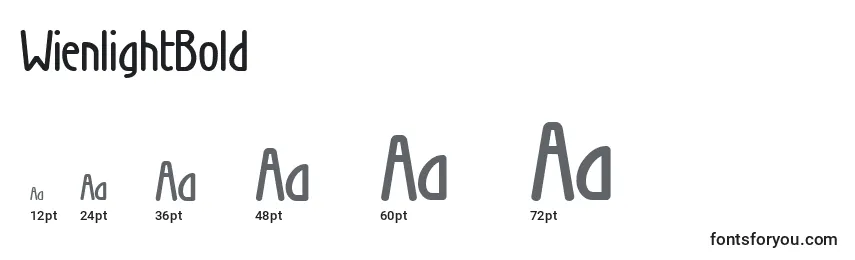 WienlightBold Font Sizes