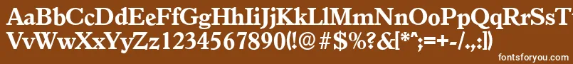 フォントGranadaserialXboldRegular – 茶色の背景に白い文字