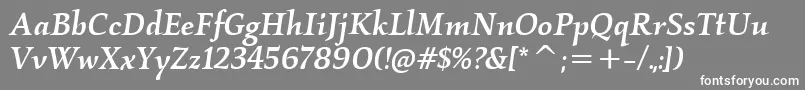 KallosItcMediumItalic Font – White Fonts on Gray Background