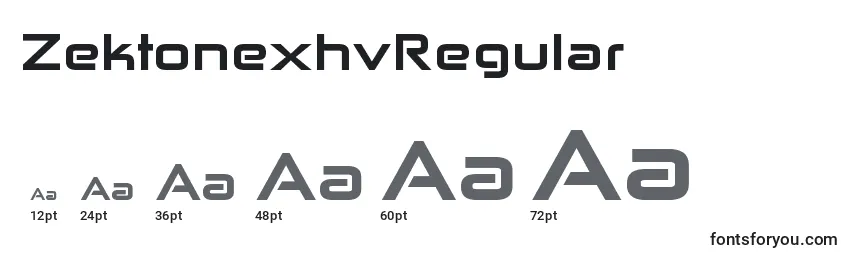 ZektonexhvRegular Font Sizes