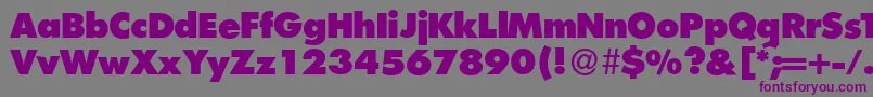 FunctiontwoXboldRegular Font – Purple Fonts on Gray Background