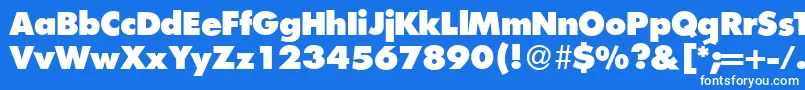 FunctiontwoXboldRegular Font – White Fonts on Blue Background