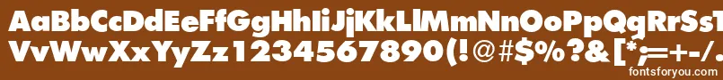 FunctiontwoXboldRegular Font – White Fonts on Brown Background
