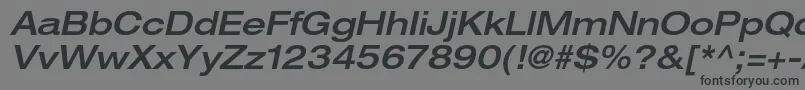 HelveticaneueltstdMdexo Font – Black Fonts on Gray Background