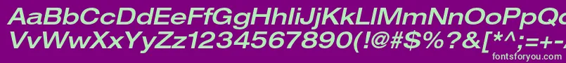 HelveticaneueltstdMdexo Font – Green Fonts on Purple Background