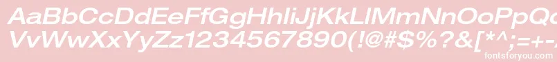HelveticaneueltstdMdexo Font – White Fonts on Pink Background