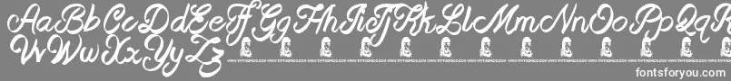 BeastOfAvalon Font – White Fonts on Gray Background