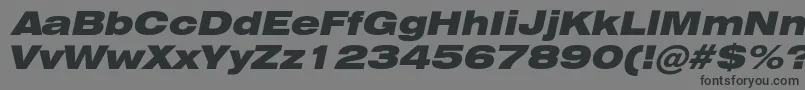 Weitere Informationen zur HeliosextblackItalic-Schriftart HeliosextblackItalic-Schriftart – Schwarze Schriften auf grauem Hintergrund