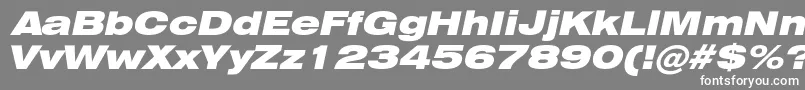 フォントHeliosextblackItalic – 灰色の背景に白い文字