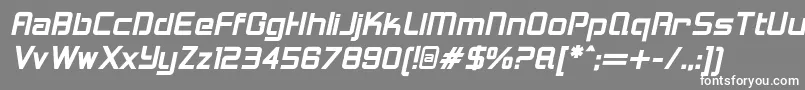 LoganfiveBolditalic Font – White Fonts on Gray Background